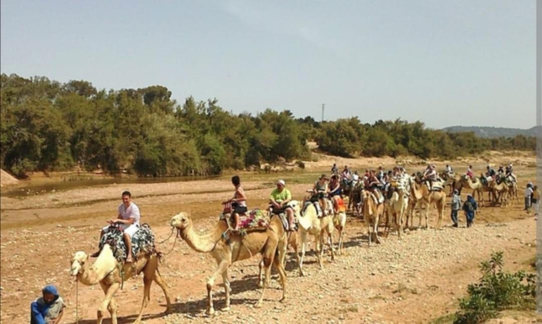 Riad Dar Salam Agadir Bagian luar foto